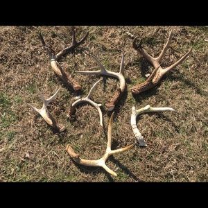 Meet your Posher, Caleb